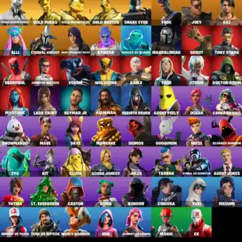Fortnite skins including Rogue Spider Knight, Gold Midas, and Snake Eyes for gaming enthusiasts.